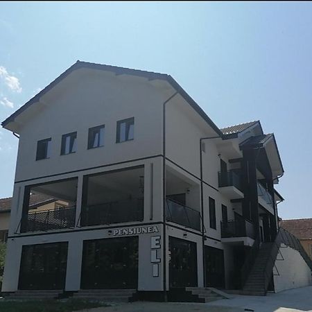 Pensiunea Eli Бузиаш Экстерьер фото